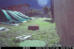 WK6HDW