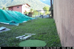 WK6HDW